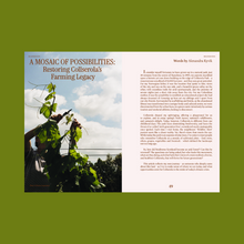 Load image into Gallery viewer, Entangled Landscapes Vol 2: Catalunya