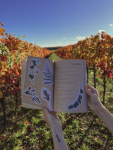 Load image into Gallery viewer, Entangled Landscapes Vol 1: Abruzzo