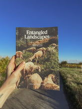 Load image into Gallery viewer, Entangled Landscapes Vol 1: Abruzzo