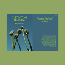 Load image into Gallery viewer, Entangled Landscapes Vol 2: Catalunya