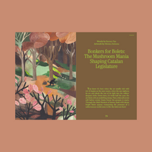 Load image into Gallery viewer, Entangled Landscapes Vol 2: Catalunya