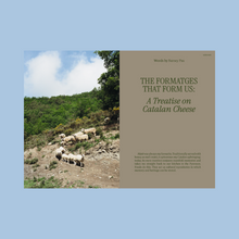 Load image into Gallery viewer, Entangled Landscapes Vol 2: Catalunya