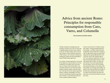 Load image into Gallery viewer, Issue no 3 (sold out)