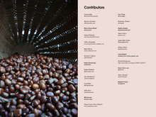 Load image into Gallery viewer, Issue no 3 (sold out)