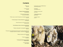 Load image into Gallery viewer, Issue no 2 (sold out)