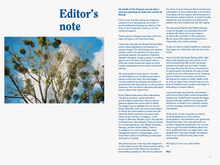 Load image into Gallery viewer, Issue no 2 (sold out)