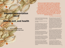 Load image into Gallery viewer, Issue no 2 (sold out)