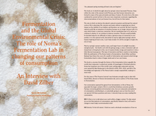 Load image into Gallery viewer, Issue no 2 (sold out)