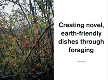 Load image into Gallery viewer, Issue no 1 (sold out)