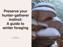 Load image into Gallery viewer, Issue no 1 (sold out)