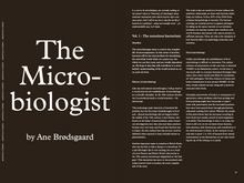 Load image into Gallery viewer, Issue no 1 (sold out)