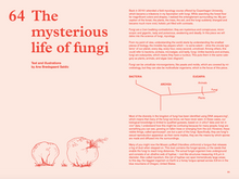 Load image into Gallery viewer, Issue no 5