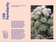 Load image into Gallery viewer, Issue no 5