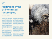 Load image into Gallery viewer, Issue no 6