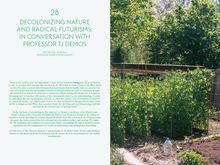 Load image into Gallery viewer, Issue no 6