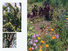 Load image into Gallery viewer, Issue no 6